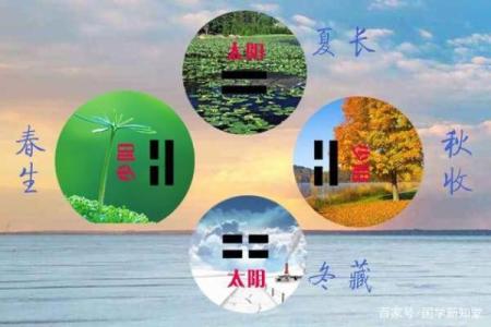 吕祖灵签第十三签：龙跃鱼渊象可征