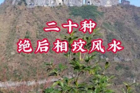 发财最猛的祖坟风水
