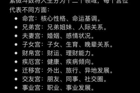 紫微斗数怎样看什么人工作上带发展前景