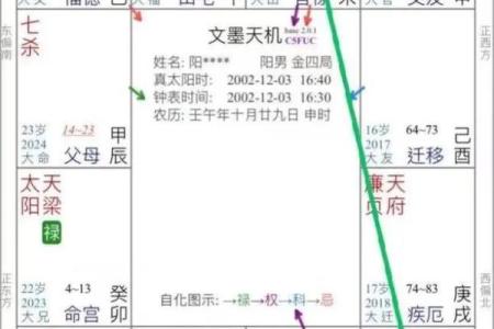 紫薇斗数怎么财运