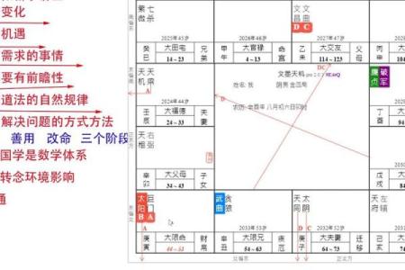 紫微斗数实战 紫微斗数实战案例？