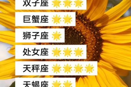 什么星座适合做股票交易