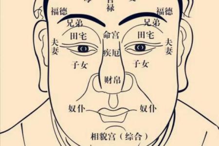 紫薇斗数能看出什么