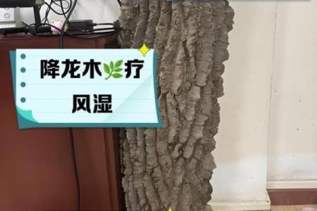 降龙木镇宅最佳方位  降龙木辟邪放哪里