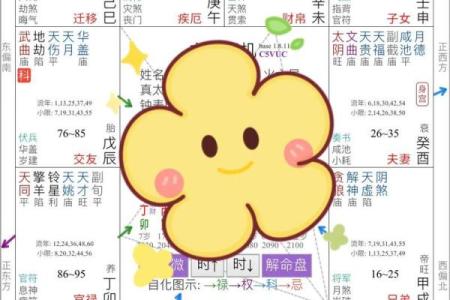 紫薇斗数流年看父母
