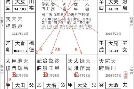 紫微斗数诸星落诸宫之：武曲星兄弟宫详解