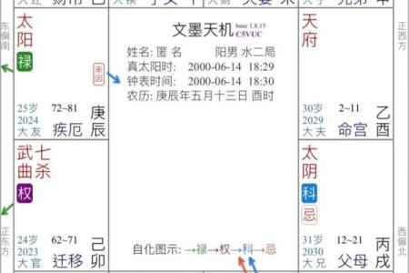 紫薇斗数富翁格局