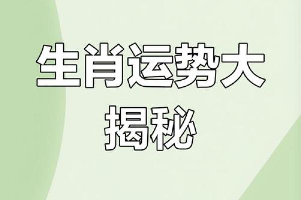星座和属相运势可以信吗