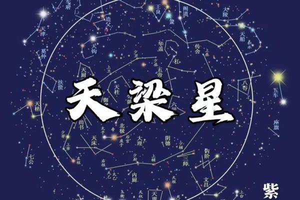 暗曜紫薇斗数
