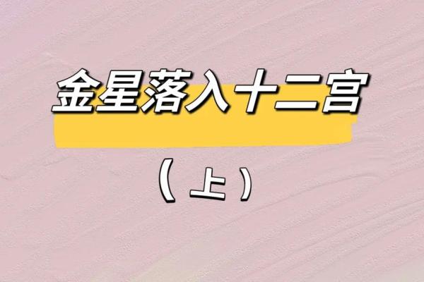 金星星座查询表