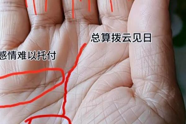 生命线算命：手掌上的玄机真能预测你的命运？