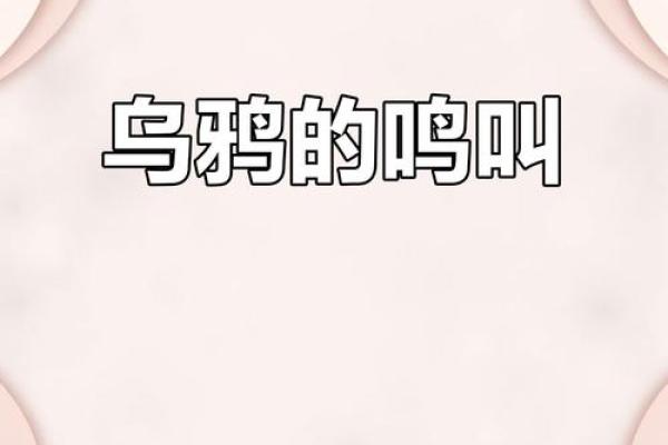 乌鸦鸣叫方位吉凶对照