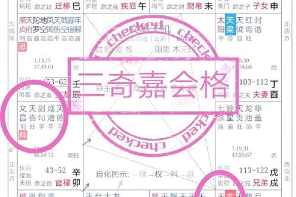 紫薇斗数里面的岁驿是什么意思