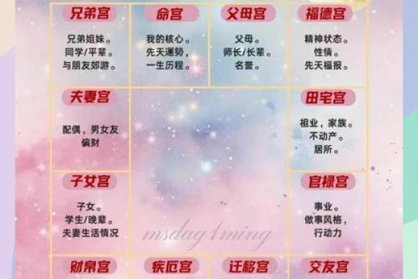 紫微斗数之人事十二宫的其他表意 紫微斗数之人事十二宫的其他表意