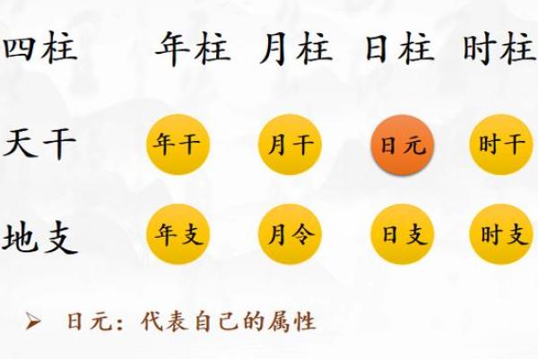 四柱八字中的月柱都有哪些含义
