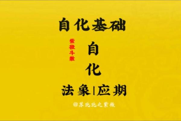 紫微斗数离婚 紫微斗数离婚应期？