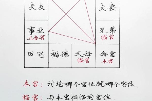 紫薇斗数文书位
