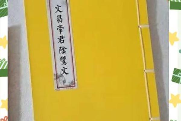 母子为儿子求文昌，算命先生说孩子童子命，母亲不信疯狂责备