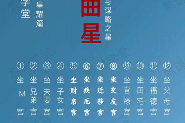 紫薇斗数老年孤独
