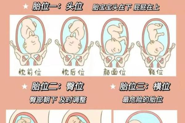 胎记的位置与算命图解