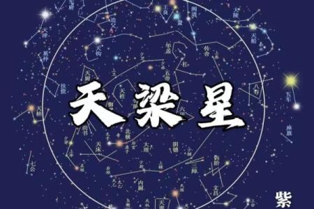 暗曜紫薇斗数