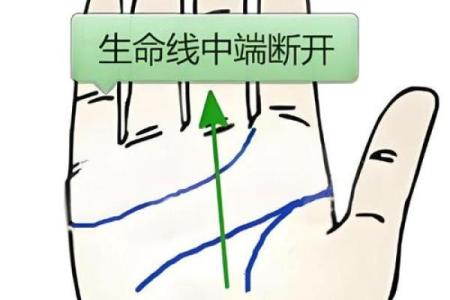生命线算命：手掌上的玄机真能预测你的命运？