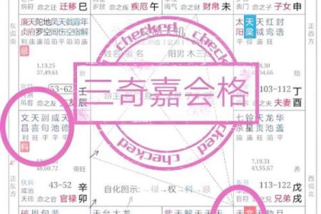 紫薇斗数里面的岁驿是什么意思