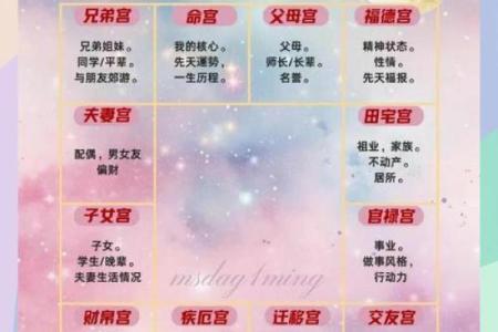 紫微斗数之人事十二宫的其他表意