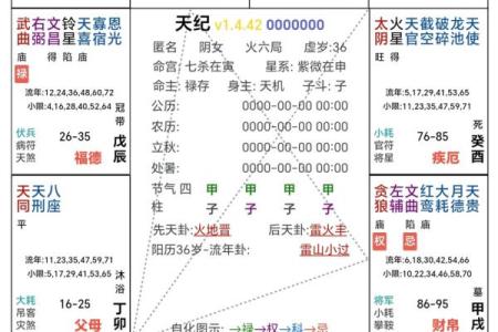 中州紫薇斗数流月