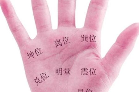如何看手相算命看手相怎么看 如何看手相算命图片大全图解