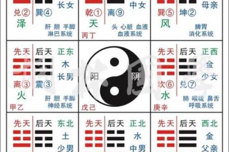 【硬碰硬八字解析】-八字命理分析，硬碰硬寓意，八字算命知识！
