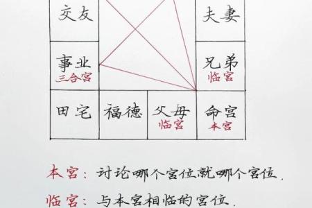 紫薇斗数文书位