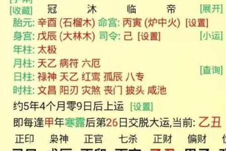 八字地支全是水的命理分析