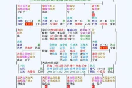 紫薇斗数怎么看官运