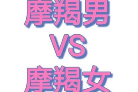 摩羯座男和哪个星座都合适