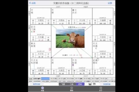 如何查紫薇斗数