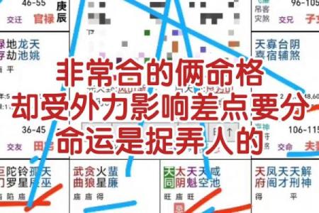 掌握幸福之道：紫微斗数顶级命格