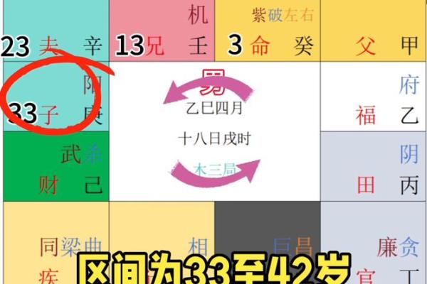 紫薇斗数盘