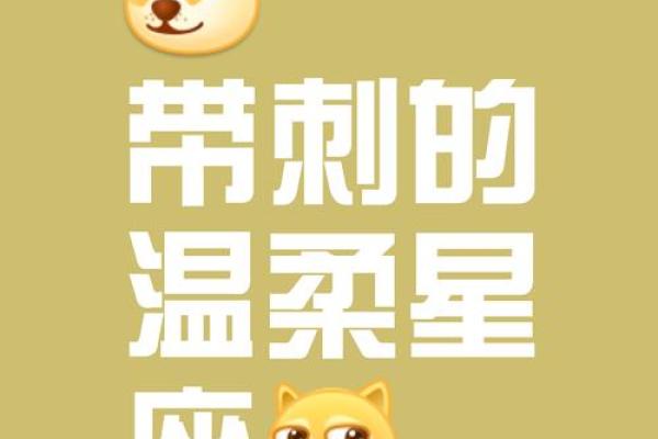 口嫌体正直，越在意越爱损人的星座