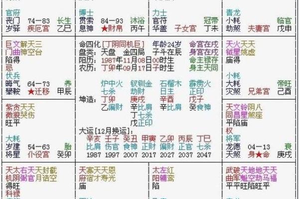 紫微斗数排盘天魁星坐命宫分析,十二宫分析
