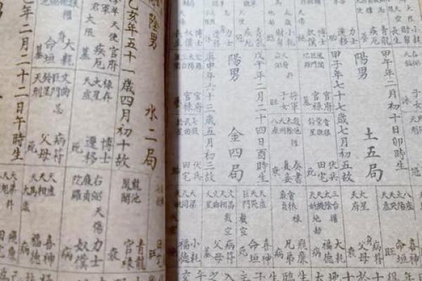 紫薇斗数神巴巴