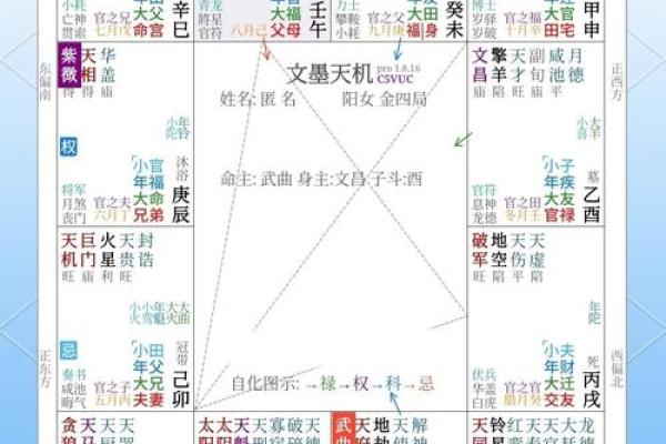 紫薇斗数怎么批命