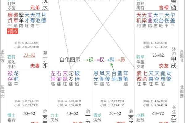 紫薇斗数怎么批命
