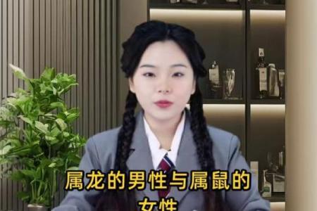 属龙和属鼠的八字合吗