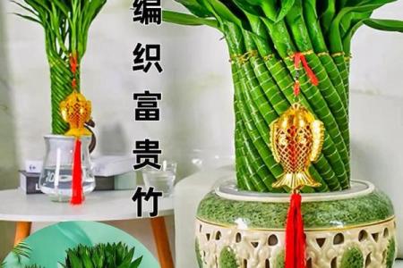 风水上富贵竹养多少颗比较旺财