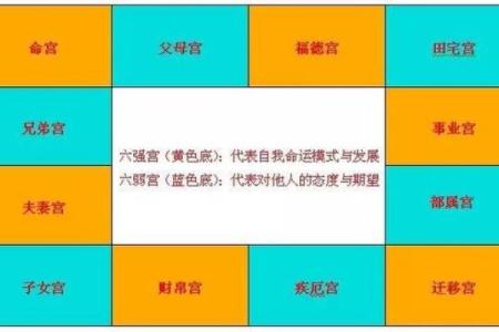 紫薇星入事业宫详解
