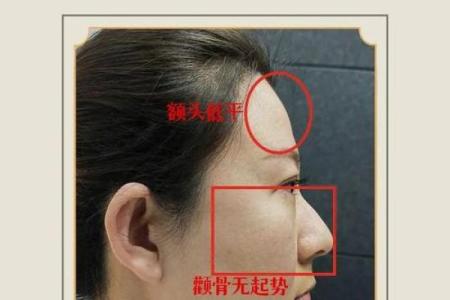 颧骨面相算命