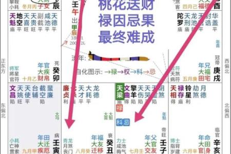 紫薇斗数的见是什么意思