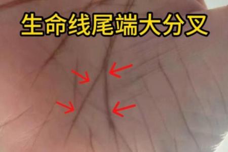 风水生命线分叉代表什么好不好