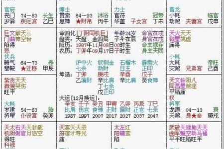 紫微斗数排盘天魁星坐命宫分析,十二宫分析